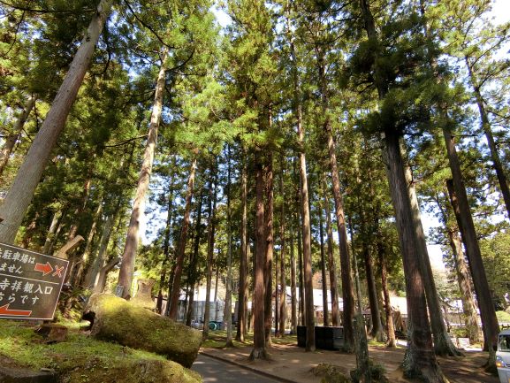 気温２２度の日でしたが、緑と風が気持ちよく、パワーを感じました